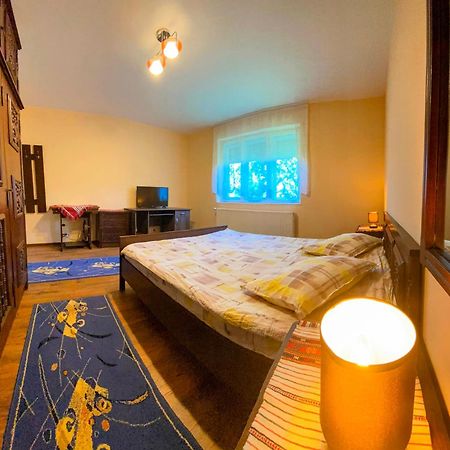 Hotel Casa Popa Cîrţişoara Zewnętrze zdjęcie