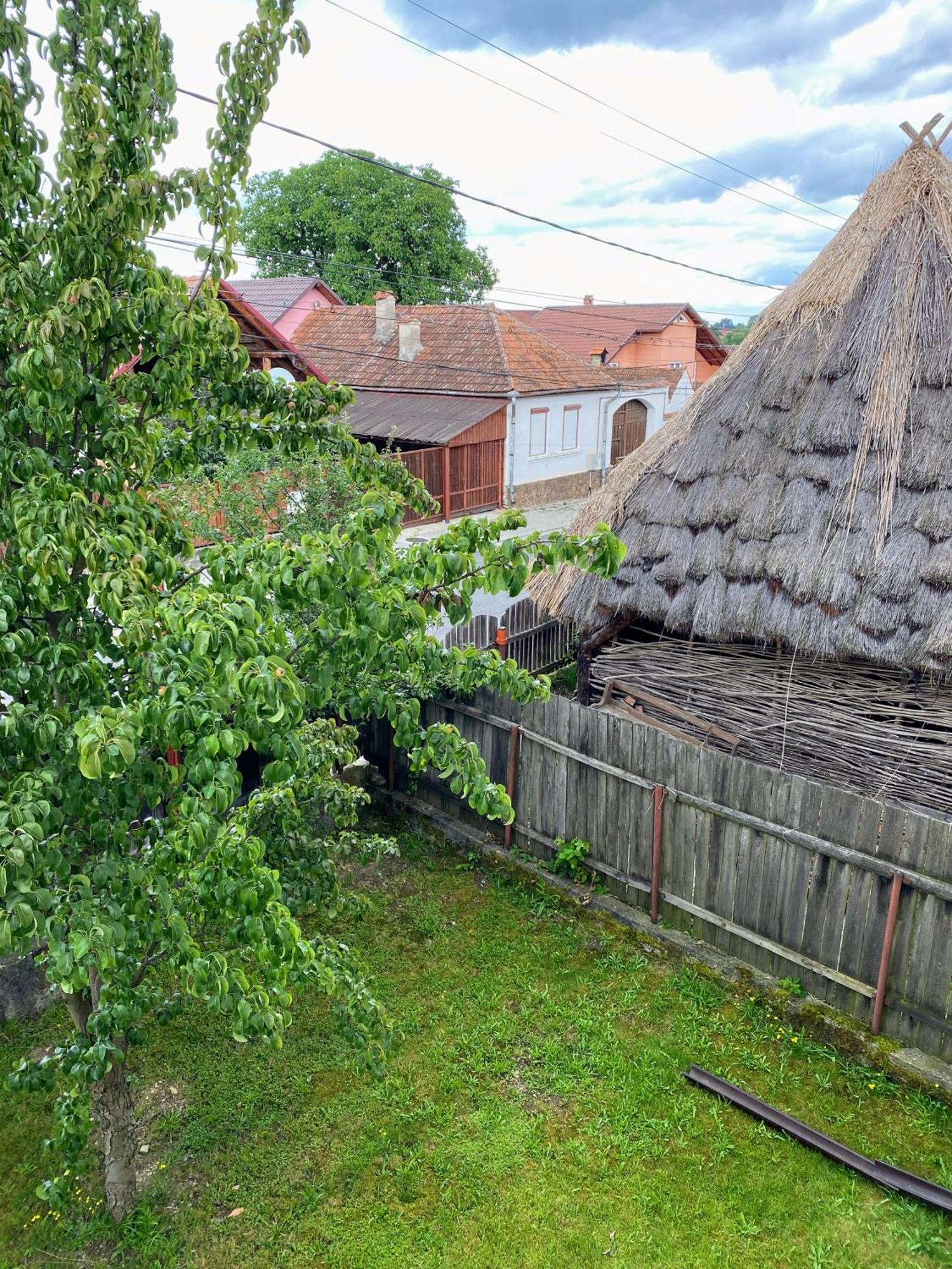 Hotel Casa Popa Cîrţişoara Zewnętrze zdjęcie