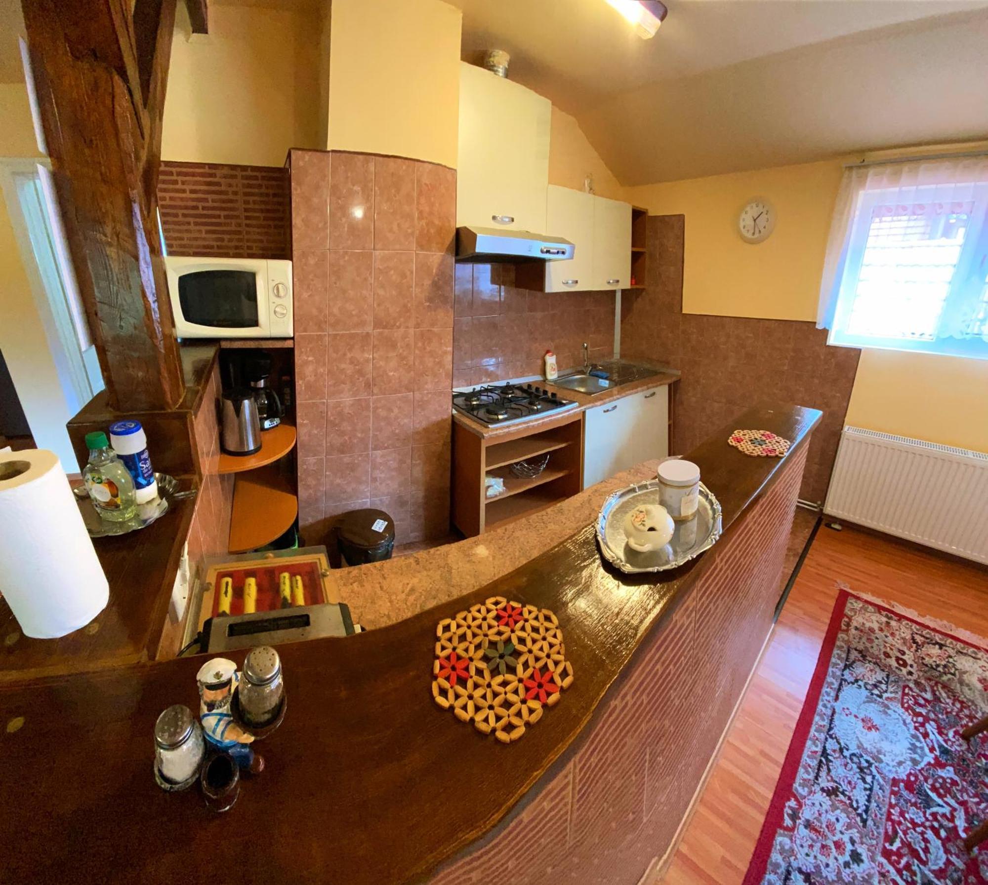 Hotel Casa Popa Cîrţişoara Zewnętrze zdjęcie