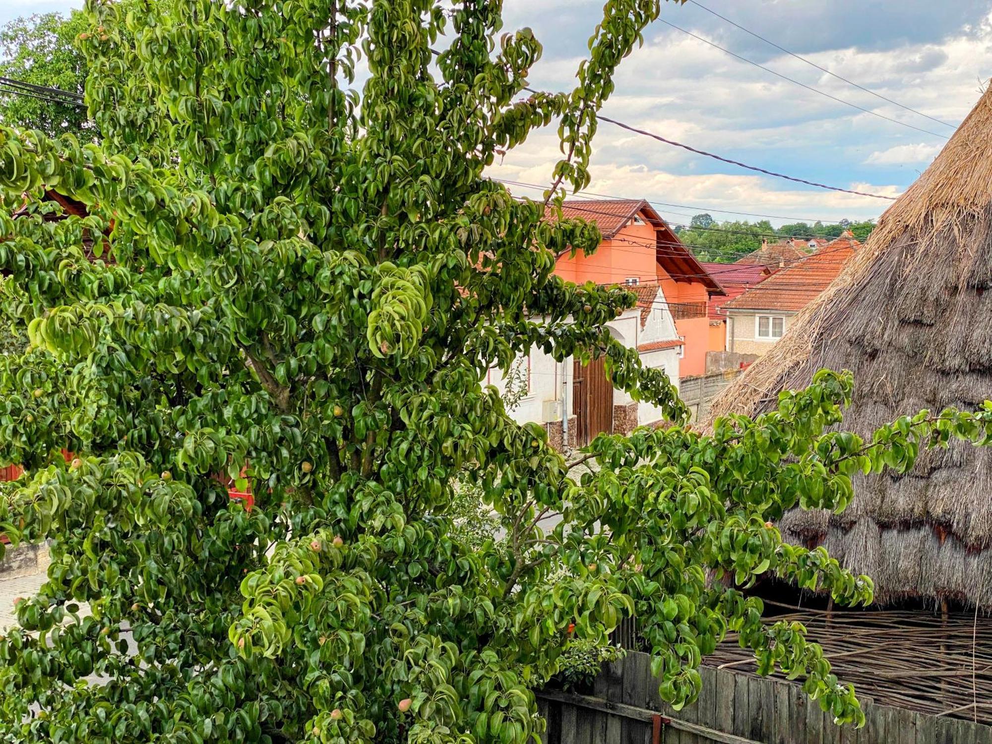 Hotel Casa Popa Cîrţişoara Zewnętrze zdjęcie